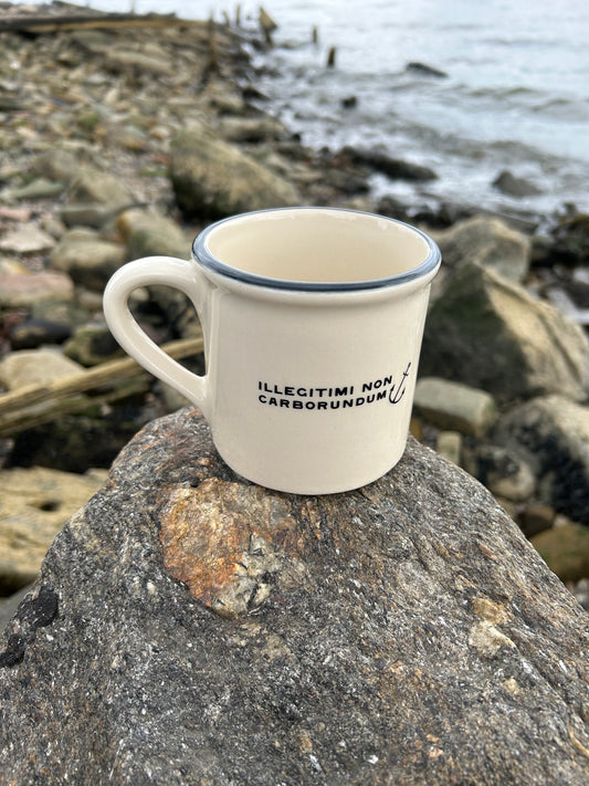 MADE IN USA Hearth Stoneware Coffee Mug - Illegitimi Non Carborundum